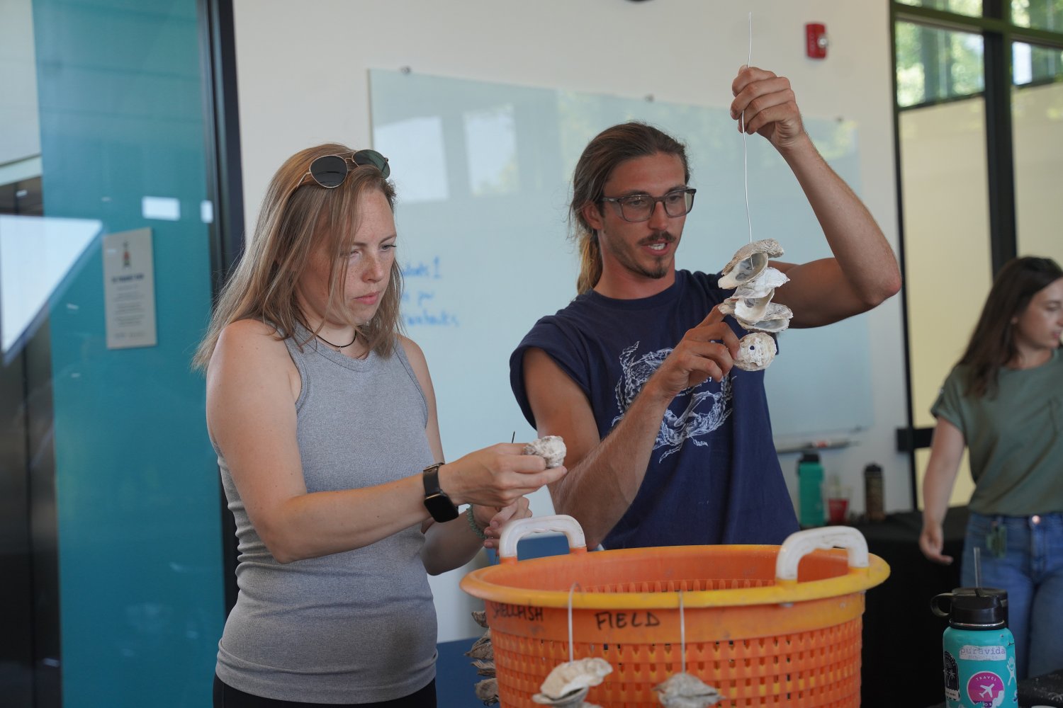 Members of the Roger Williams University community create vertical oyster gardens.
