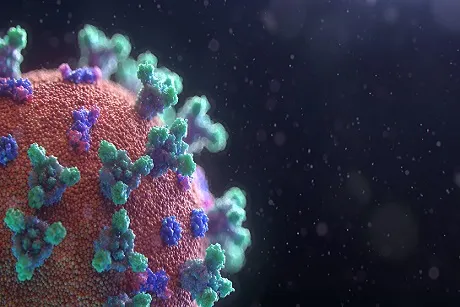 Coronavirus image
