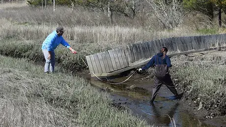 Students taking measurements for new foot bridge.