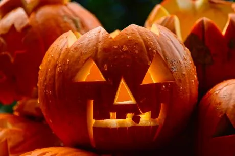 Carved Pumpkins Halloween