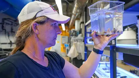 Koty Sharp, CEED Director and Associate Professor of Marine Biology and Environmental Science.
