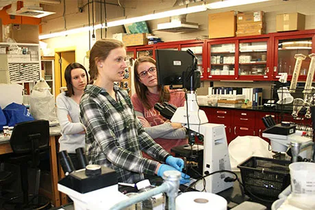 Students examine specimen under a microscope.