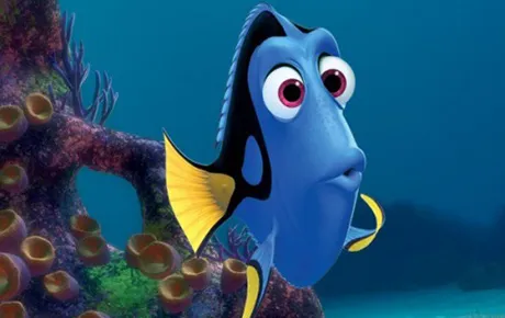A cartoon tropical fish from a Disney movie.