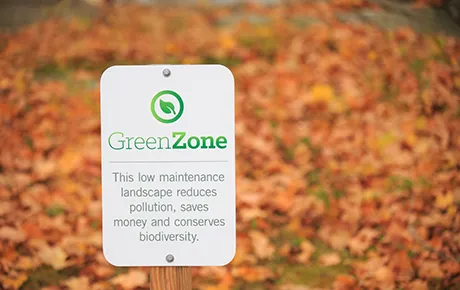 Green Zone sign on campus.