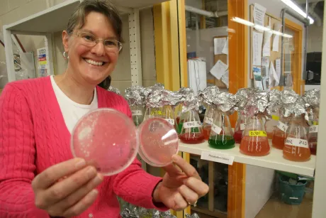 Marcia Marston holds up marine virus cultures.