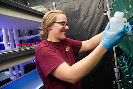 Student works on research project in the Wet Lab.