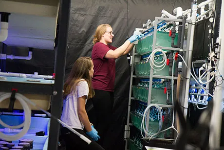 Students work on aquaculture research projects in RWU's Wet Lab.