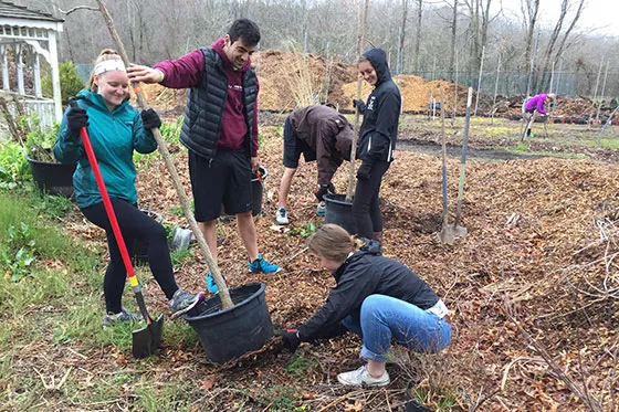 Students working in the community.