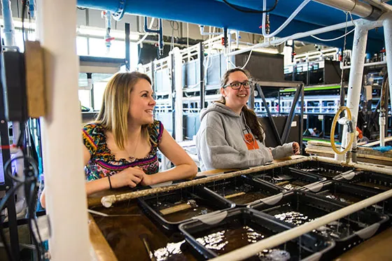 Students standing over aquarium container.