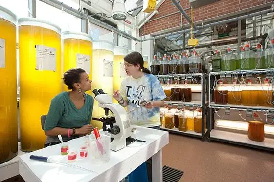 Students in research lab.