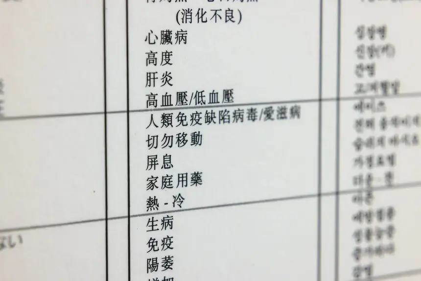 Chinese Major
