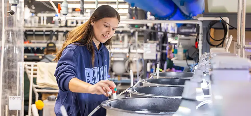 A student working in the wet lab