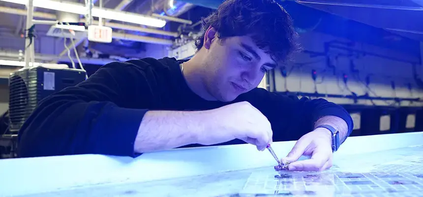 Student researching coral