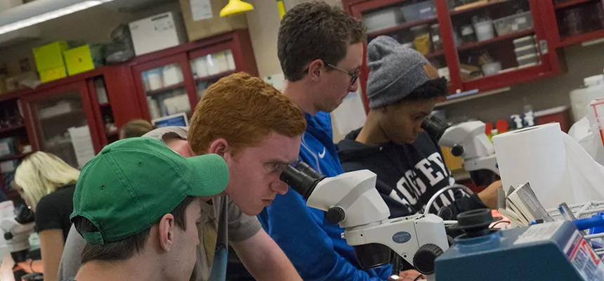 Students conducting research with microscopes