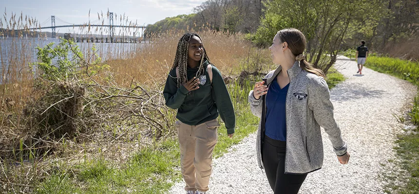 Students walk on the shell path