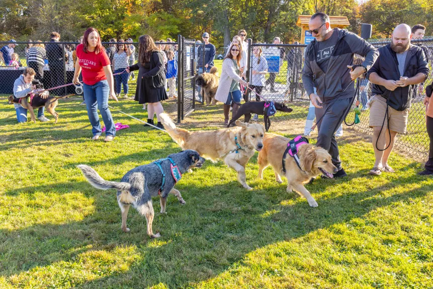 A large crowd gathers at the Roger's Dog Park entrance.