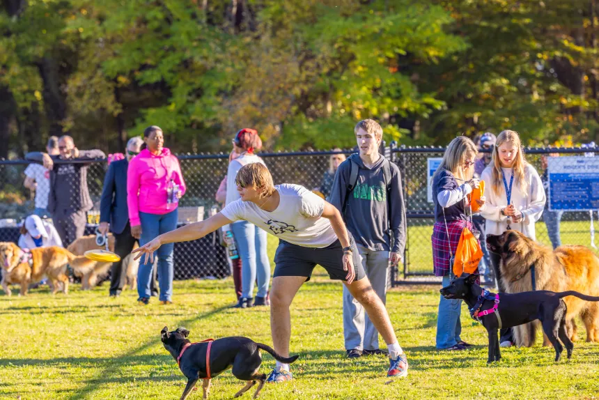 A man throws a frisbee to a dog.