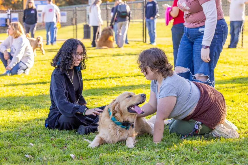 Two students pet dogs at Roger's Dog Park.
