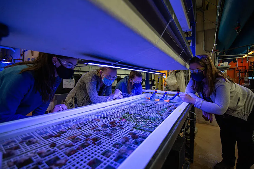 image of students and professor collaborating in RWU's wet lab
