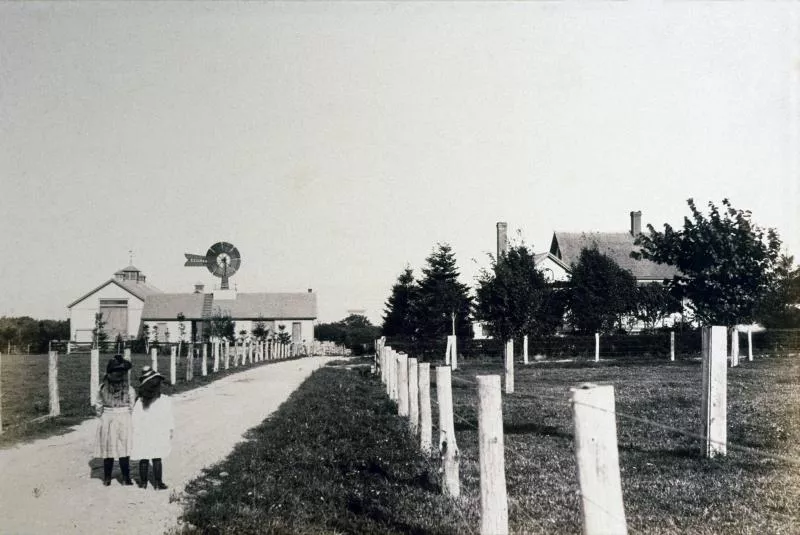 Howe sisters looking down the land toward Ferrycliffe Farm buildings.