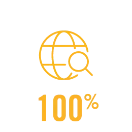 100% graphic