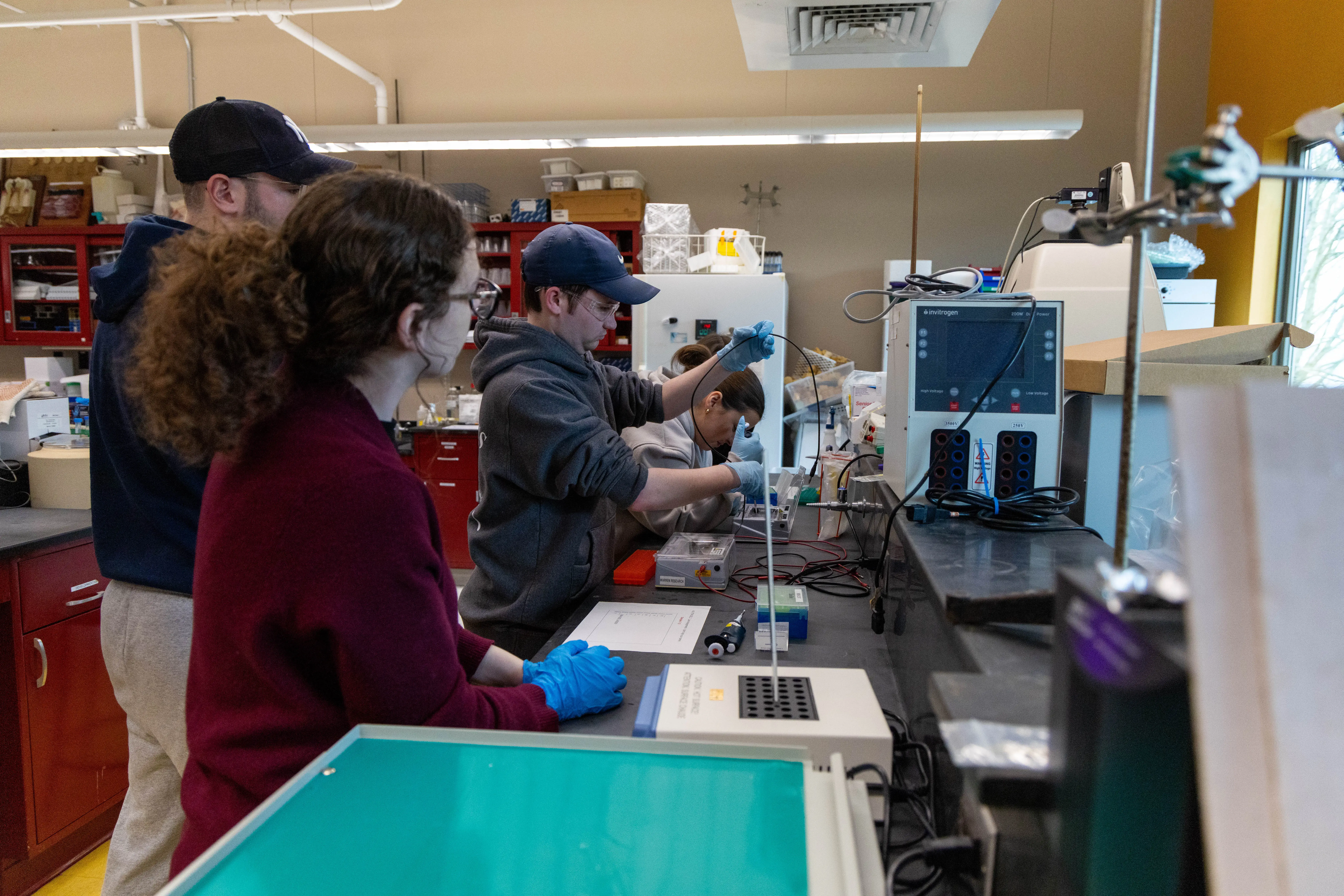 Students in gloves work together in a lab, using a pipette and gel electrophoresis setup during a science experiment.