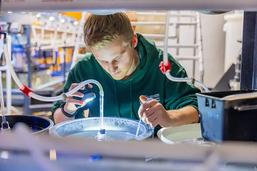 Marine research