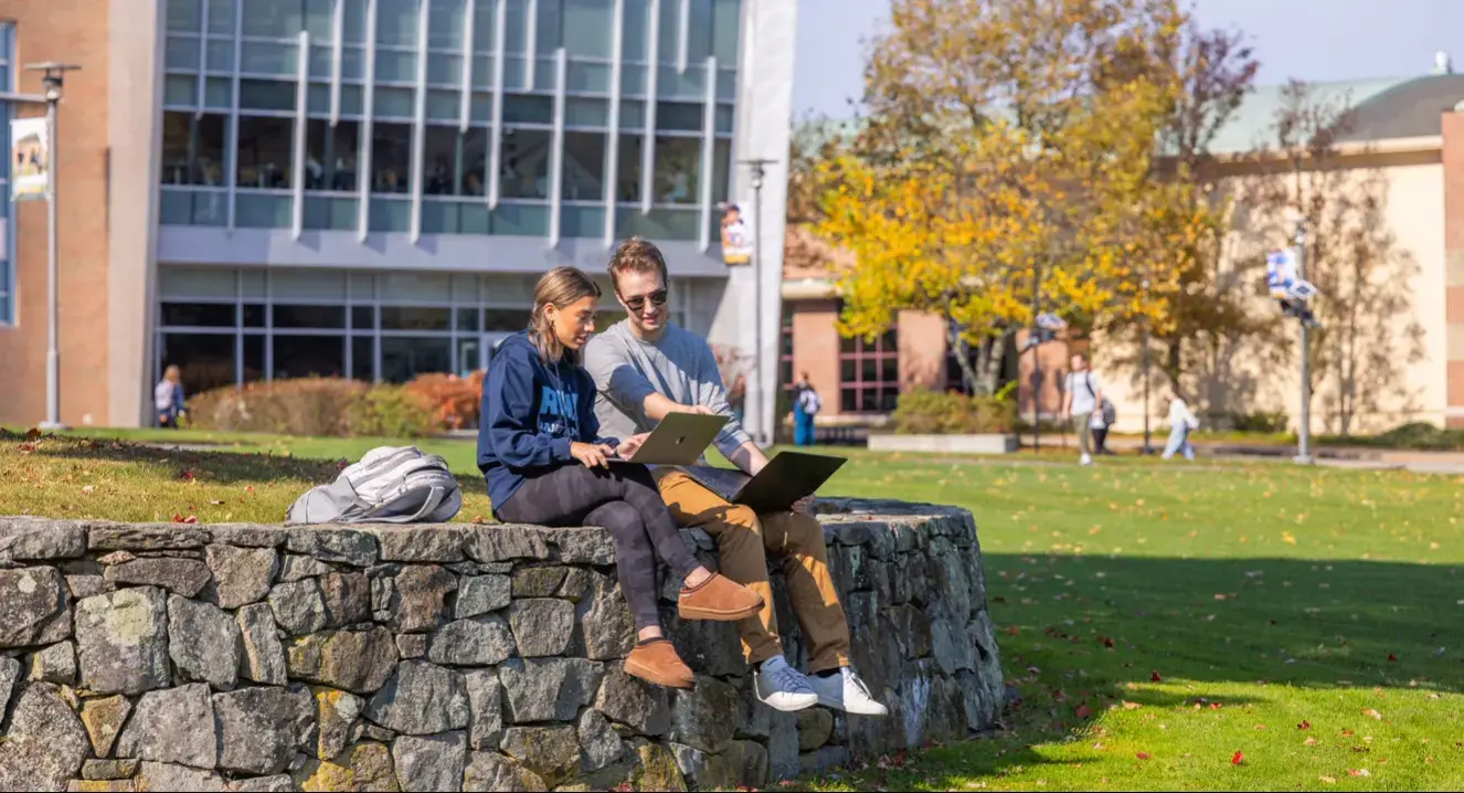 Two students sitting on a rock wall reading their laptops