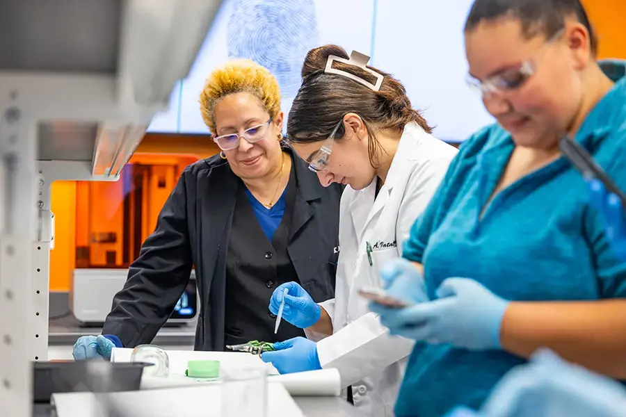 Students work with professor in lab